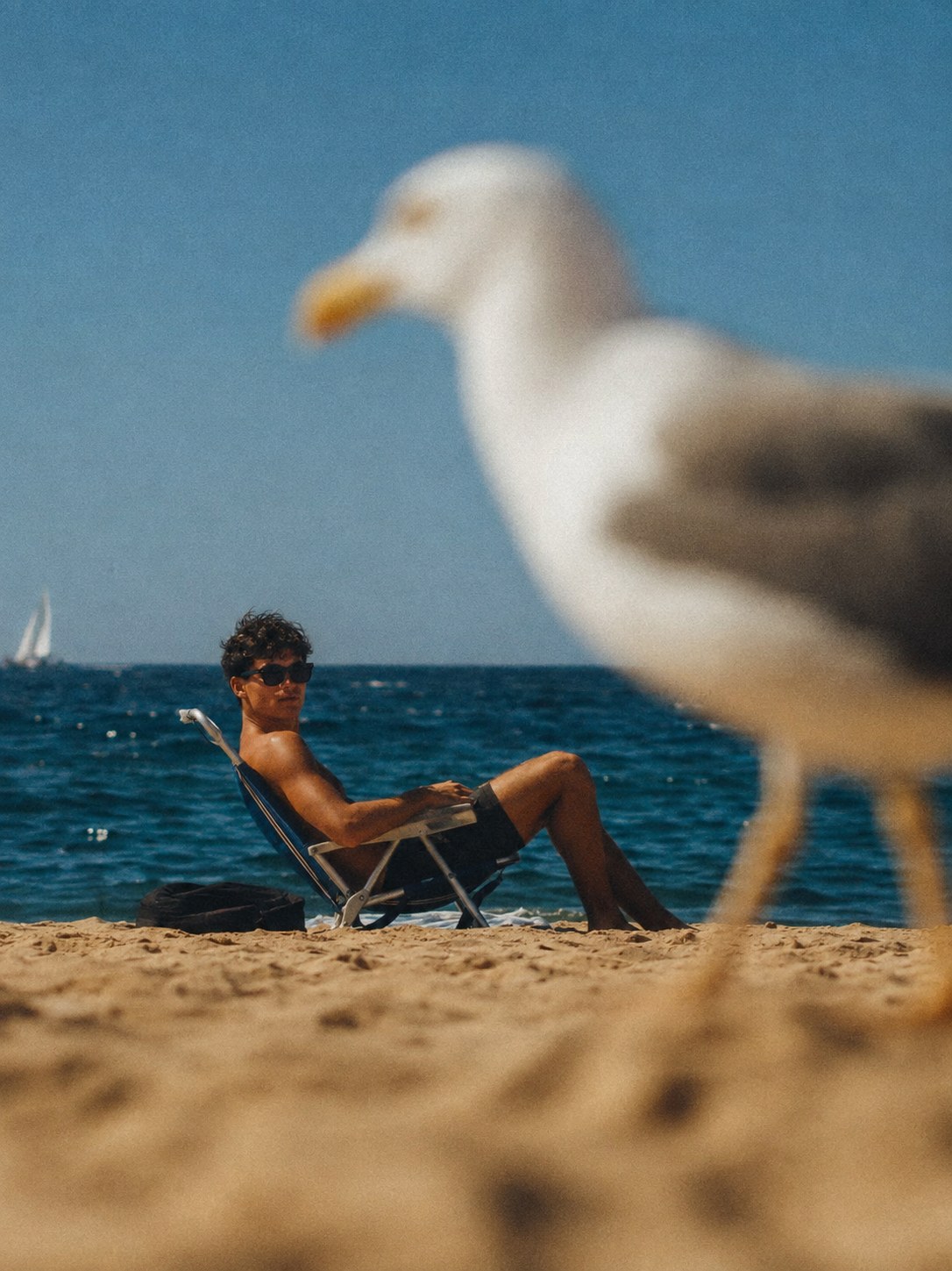 A friend in a beach chair as a seagull strolls past the camera